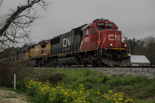 805919 (a): :2048x1356